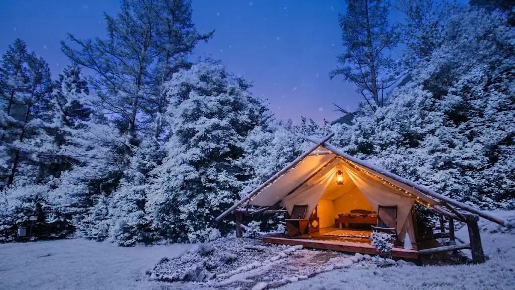 Interior de un domo de glamping equipado con cama y confort en Argentina, Argentina