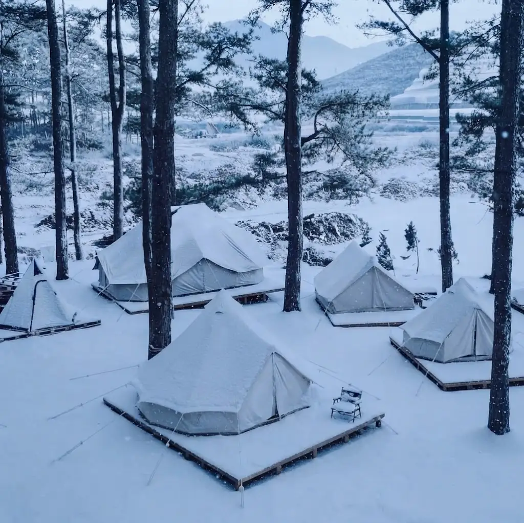 Interior de un domo de glamping equipado con cama y confort en la playa, Argentina